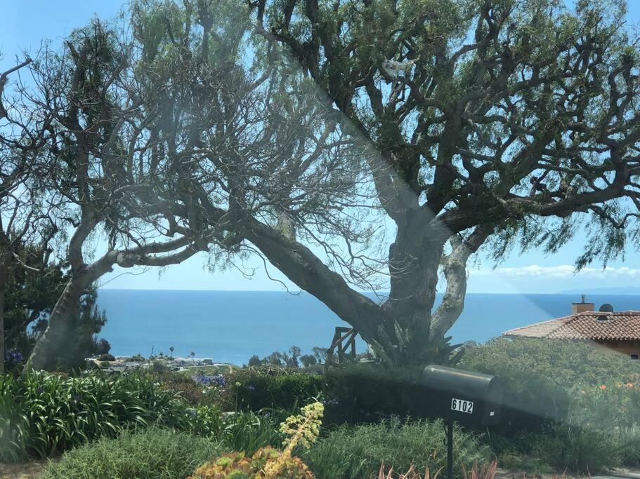 30 Pct Off!! Limited Time! Malibu Charming Getaway With King Bed, Near Beach Exterior photo